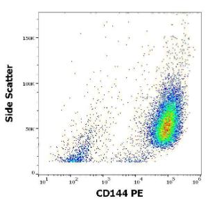 Flow cytometric analysis of HUVEC cells stained with Anti-CD144 Antibody [55-7H1] (PE) (10µl reagent per milion cells in 100µl of cell suspension)