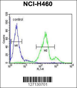 Anti-SC31B Rabbit Polyclonal Antibody (PE (Phycoerythrin))