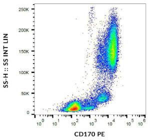 Antibody anti-CD170 1A5 PE