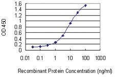 Anti-MCFD2 Mouse Monoclonal Antibody [clone: 3A5-G4]