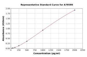 Representative standard curve for Human Oxyntomodulin ELISA kit (A79599)