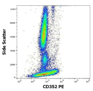 Antibody anti-CD352 HSF6420 PE