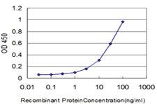 Anti-HMGB1 Mouse Monoclonal Antibody [clone: 1D10]