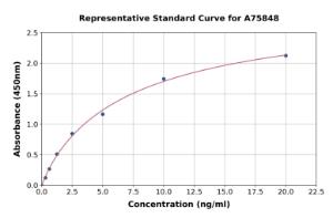 Representative standard curve for Mouse SNAP25 ELISA kit (A75848)