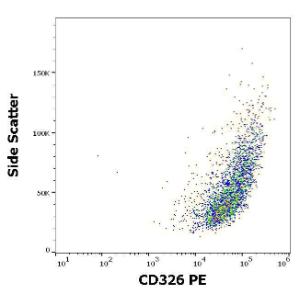 Anti-CD326 Mouse Monoclonal Antibody [clone: 323/A3] (PE (Phycoerythrin))