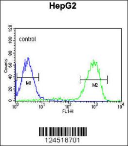 Anti-OPN1MW Rabbit Polyclonal Antibody (AP (Alkaline Phosphatase))