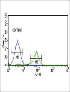 Anti-Proprotein Convertase 2 Rabbit Polyclonal Antibody