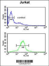 Anti-RSPO4 Rabbit Polyclonal Antibody (Biotin)