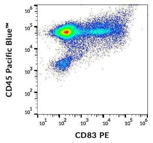 Flow cytometric analysis of CD83 in IFN alpha activated human peripheral blood cells with Anti-CD83 Antibody [HB15e] (PE)