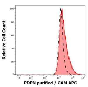 Anti-Podoplanin Mouse Monoclonal Antibody [clone: LpMab-23]