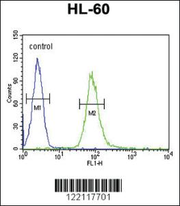 Anti-IL2RG Rabbit Polyclonal Antibody