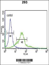 Anti-Sestrin-2 Rabbit Polyclonal Antibody