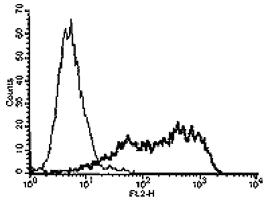 Anti-TNFRSF21 Rat Monoclonal Antibody [clone: Luke-1]