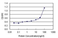 Anti-FGL2 Antibody Pair