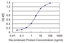 Anti-SUMO3 Mouse Monoclonal Antibody [clone: 4G11]