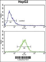 Anti-SPCS3 Rabbit Polyclonal Antibody