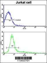 Anti-CD9 Rabbit Polyclonal Antibody (APC (Allophycocyanin))