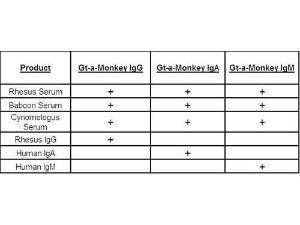 Biotin anti-monkey IGG