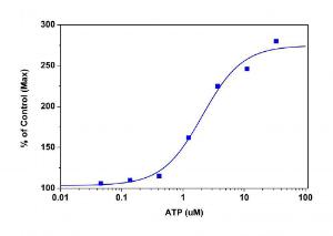 Screen quest membrane potential assay kit orange fluorescence