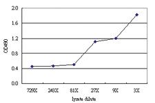 Anti-ANGPTL3 Antibody Pair