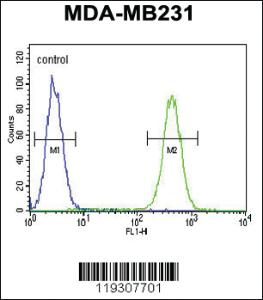 Anti-FKBP1A Rabbit Polyclonal Antibody