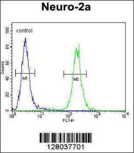 Anti-SCARF2 Rabbit Polyclonal Antibody (AP (Alkaline Phosphatase))