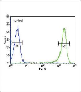 Anti-PSMB1 Rabbit Polyclonal Antibody (AP (Alkaline Phosphatase))