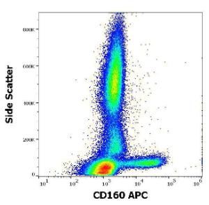 Antibody anti-CD160 BY55 APC