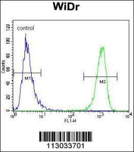 Anti-MUC20 Rabbit Polyclonal Antibody (HRP (Horseradish Peroxidase))