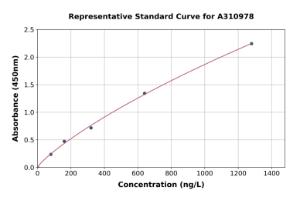 Representative standard curve for Human FCGRT / FCRN ELISA kit (A310978)