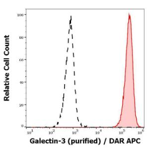 Separation of SK-MEL-30 cells stained with Anti-Galectin 3 Antibody [M3/38] (concentration in sample is 2.2 µg/ml, DAR-APC, red-filled) from SK-MEL-30 cells unstained by primary Antibody (DAR-APC, black-dashed) in flow cytometry analysis (surface staining) of SK-MEL-30 cell suspension