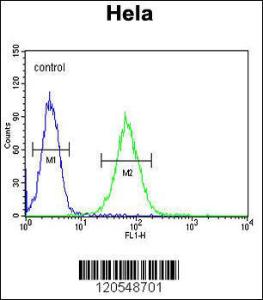 Anti-SMYD1 Rabbit Polyclonal Antibody (FITC (Fluorescein Isothiocyanate))