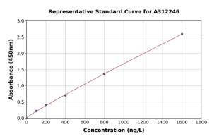 Representative standard curve for Human HADH ELISA kit (A312246)