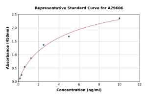 Representative standard curve for Rat PCNA ELISA kit (A79606)