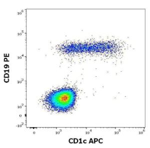 Anti-CD1c Mouse Monoclonal Antibody [clone: L161] (APC (Allophycocyanin))