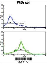 Anti-TYSY Rabbit Polyclonal Antibody