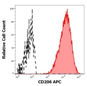 Anti-CD206 antibody