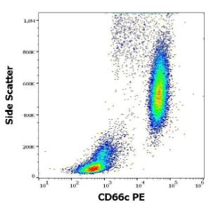 Flow cytometric analysis of human peripheral whole blood stained with Anti-CD66c Antibody [B62] (PE) (10 µl reagent/100 µl of peripheral whole blood)