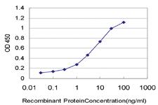 Anti-PPP3R1 Mouse Monoclonal Antibody [clone: 4E1]