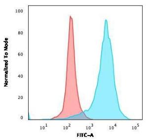 Flow cytometric analysis of PFA fixed U87MG cells using Anti-CD63 Antibody [rMX-49.129.5] followed by Goat Anti-Mouse IgG (CF&#174; 488) (Blue). Isotype Control (Red).