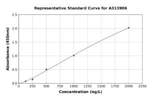 Representative standard curve for human TBKBP1 ELISA kit (A313906)