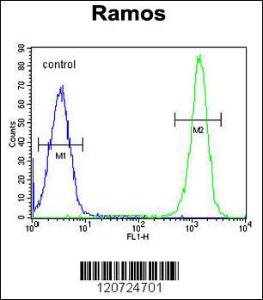 Anti-ETFA Rabbit Polyclonal Antibody (HRP (Horseradish Peroxidase))