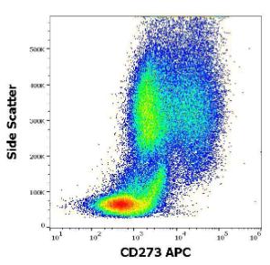 Anti-CD273 antibody