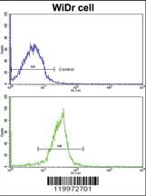 Anti-XPO1 Rabbit Polyclonal Antibody