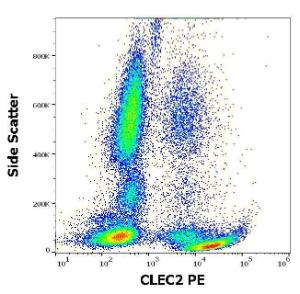 Anti-CLEC2 Mouse Monoclonal Antibody [clone: AYP1] (PE (Phycoerythrin))