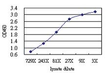 Anti-FCER1A Antibody Pair