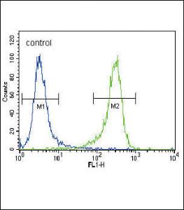 Anti-UCHL1 Rabbit Polyclonal Antibody (FITC (Fluorescein))