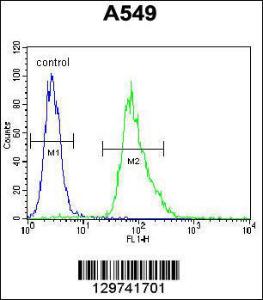 Anti-MYBPHL Rabbit Polyclonal Antibody