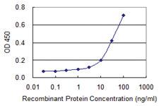 Anti-BCL2L14 Mouse Monoclonal Antibody [clone: 1D11]