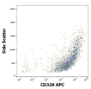 Flow cytometric analysis of MCF-7 cell suspension stained with Anti-CD326 Antibody [323/A3] (APC) (10µl reagent per milion cells in 100µl of cell suspension)